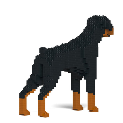 Doberman Pinscher 01-M01