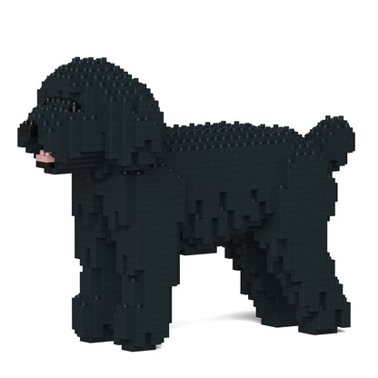 Toy Poodle 01-M02