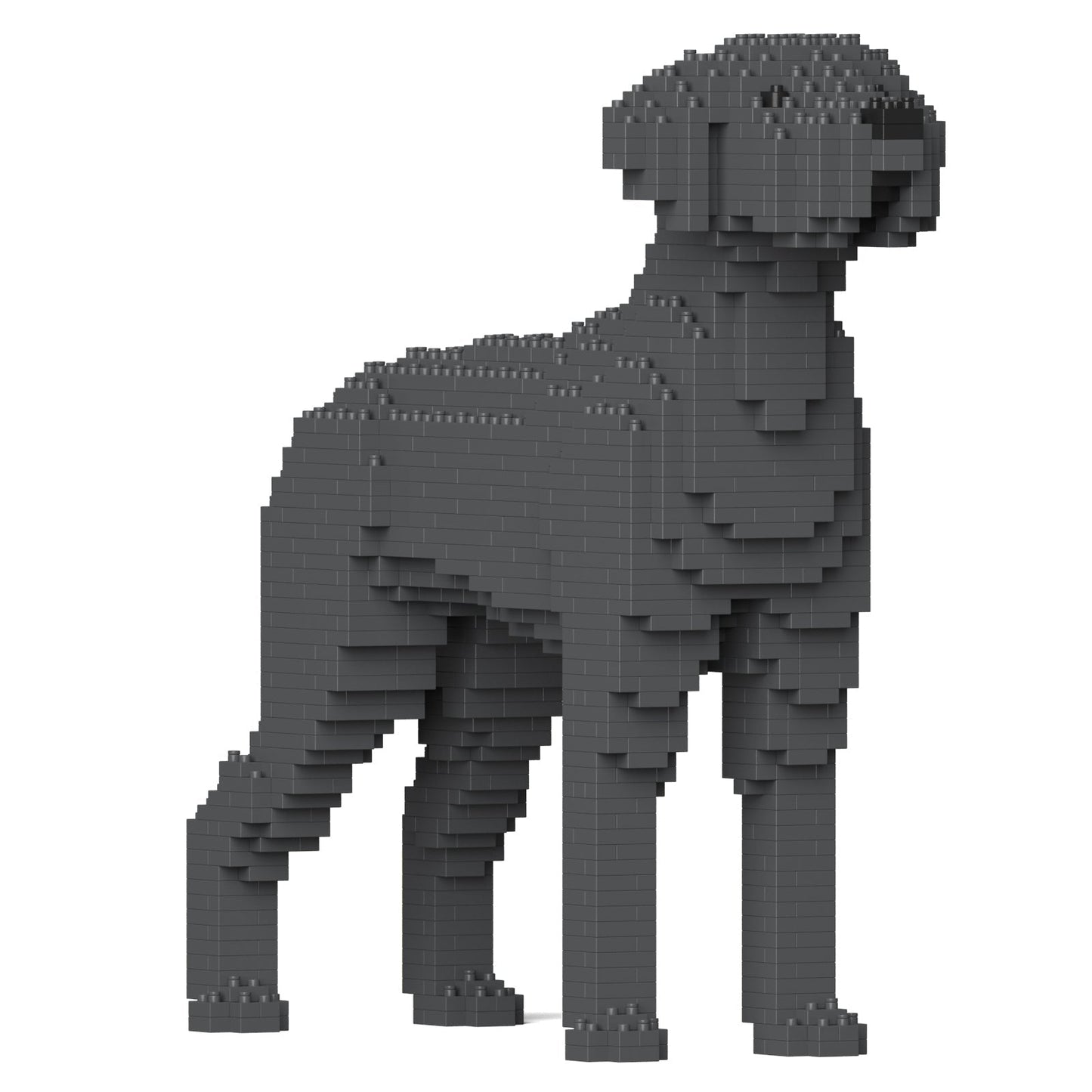 Great Dane 01-M03