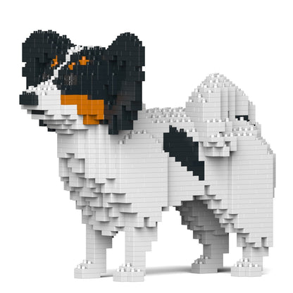 Papillon Dog 01-M01