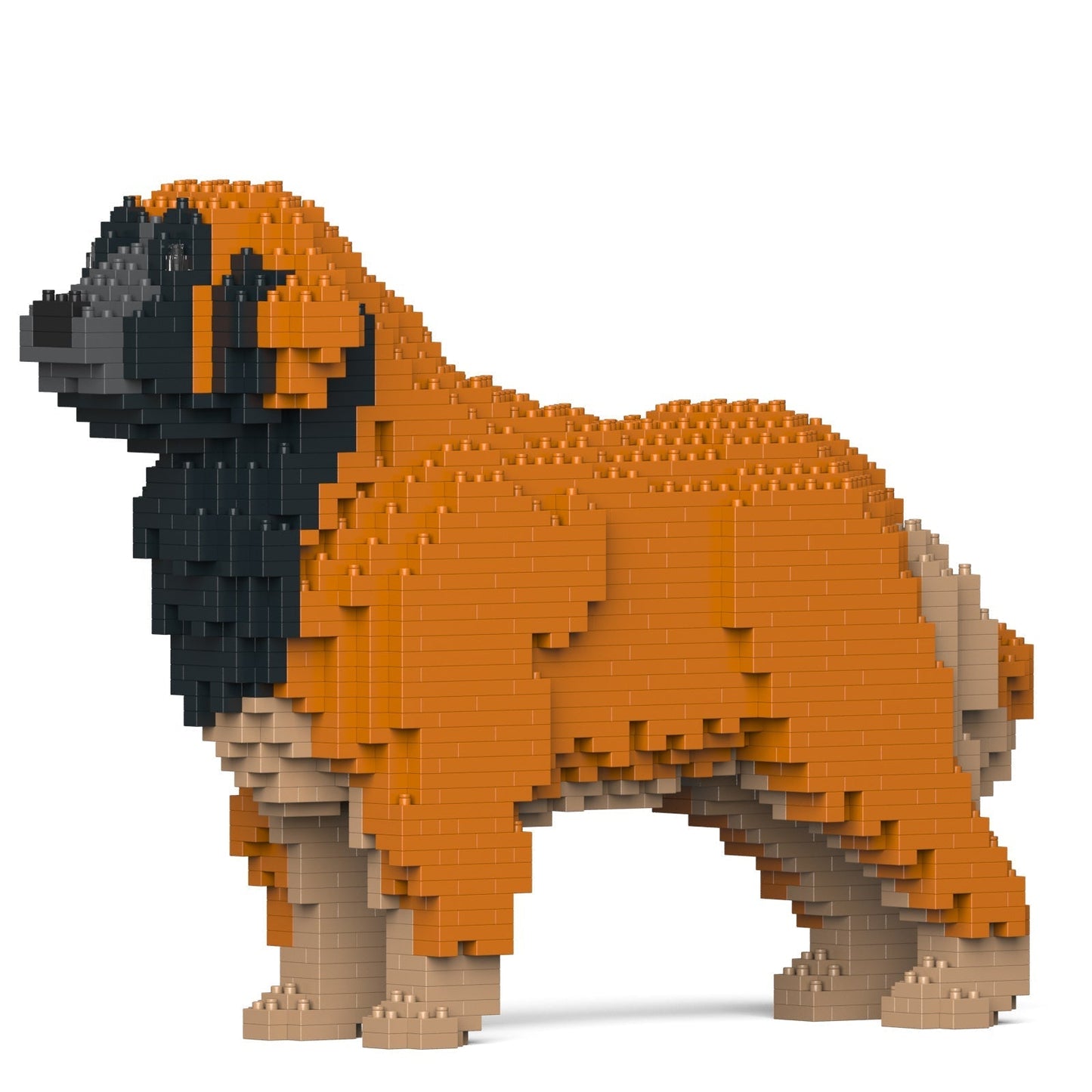 Leonberger 01-M01