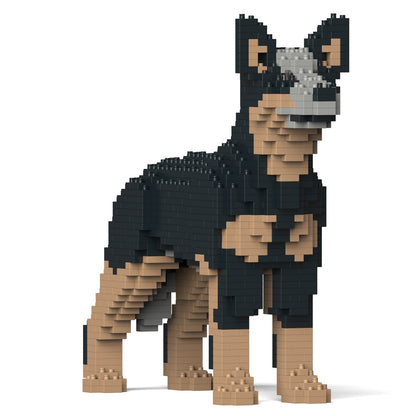 Australian Cattle Dog 01-M01