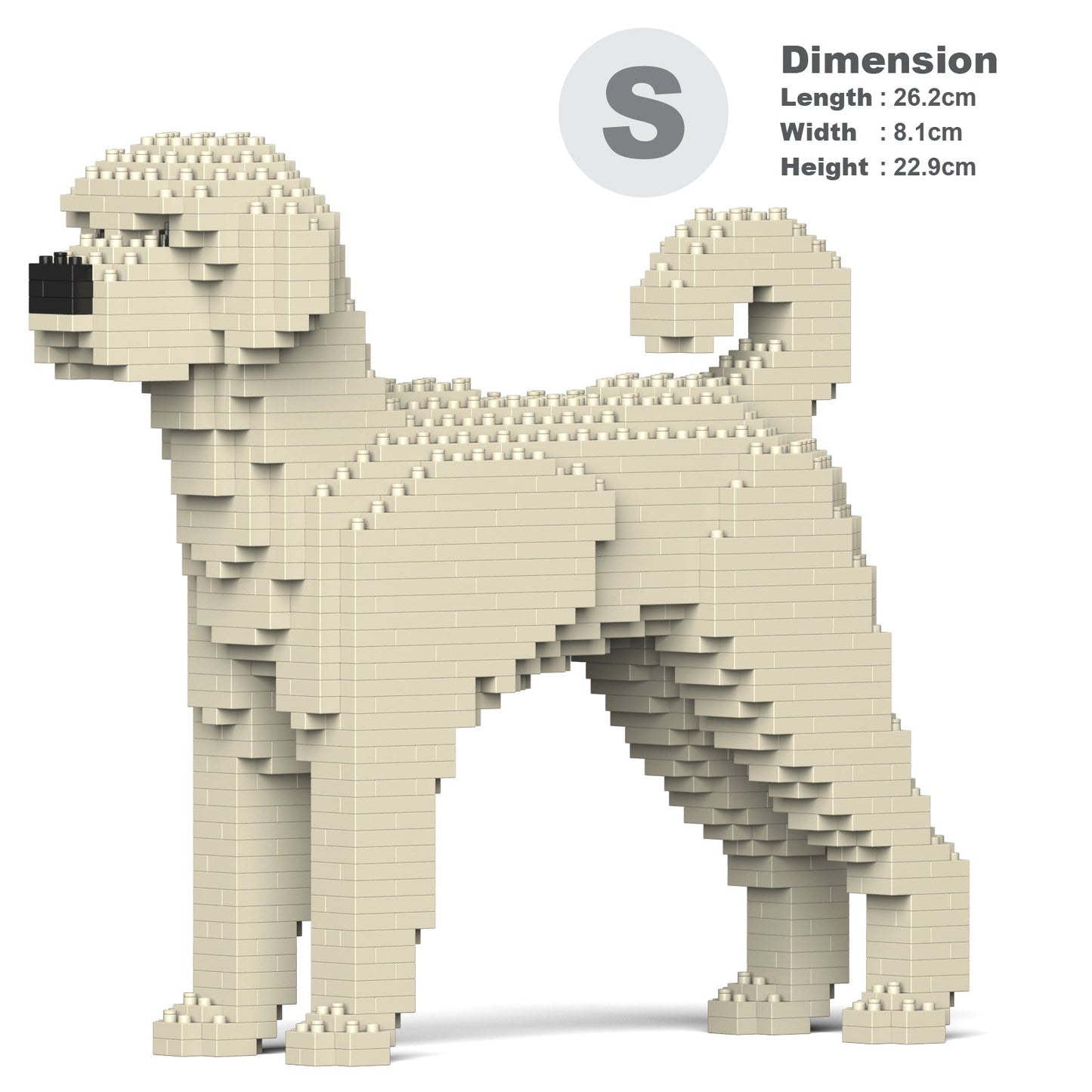 Labradoodle 01-M01