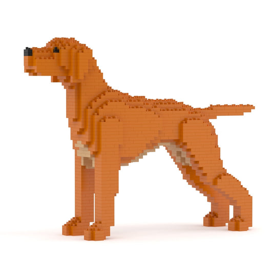 Hungarian Vizsla 01