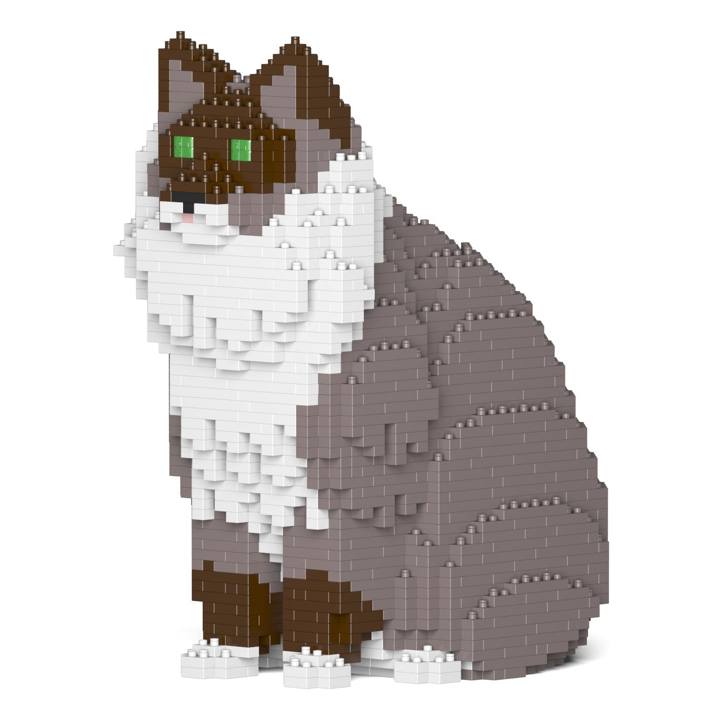 Ragdoll Cat 01S-M03