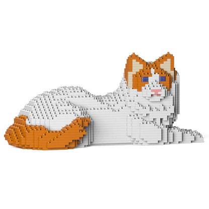 Ragdoll Cat 03S-M04