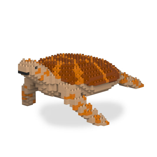 Sea Turtle 01-M01