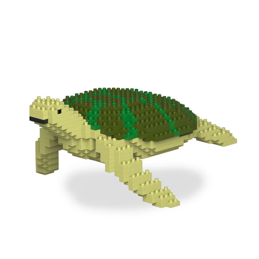 Sea Turtle 01-M02