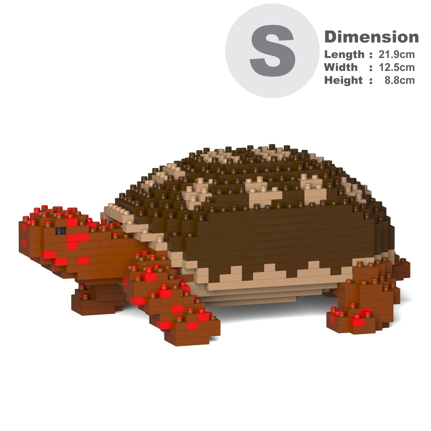 Red-footed Tortoise 01