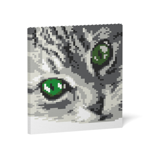 Cat Eyes Brick Painting 01S-M02