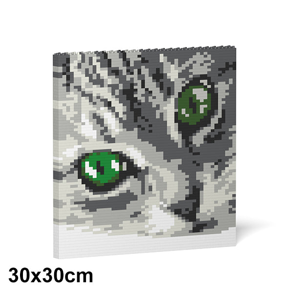 Cat Eyes Brick Painting 01S-M02